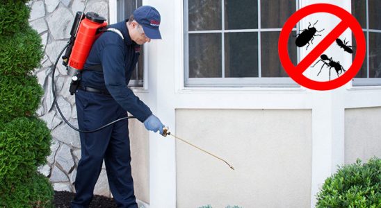 Reşadiye Bit İlaçlama böcek ilaçlama ve haşere kontrolü — ilaclama-tr.com